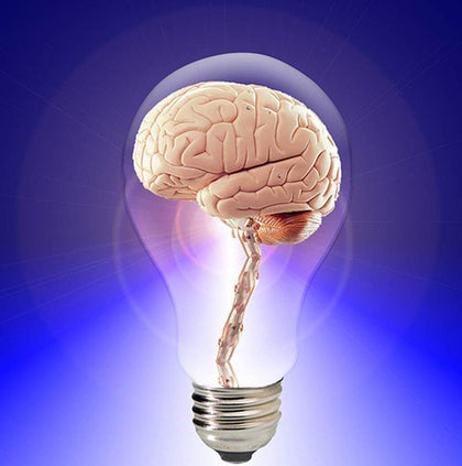 Brain Development - IsoHypnosis