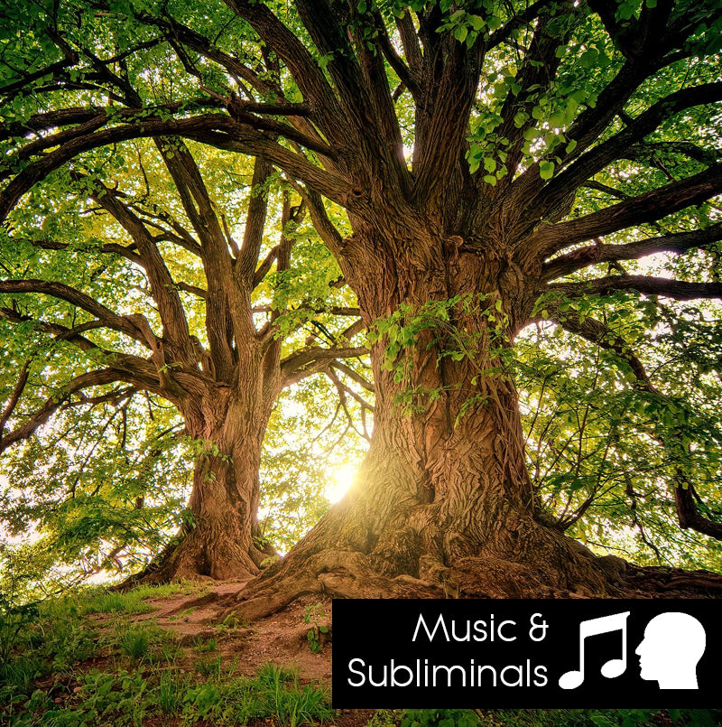 Countryside - Nature Sounds with music and subliminals