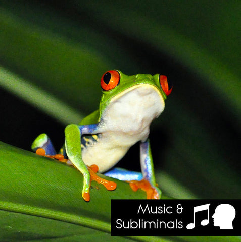 Rainforest - Nature Sounds with music and subliminals