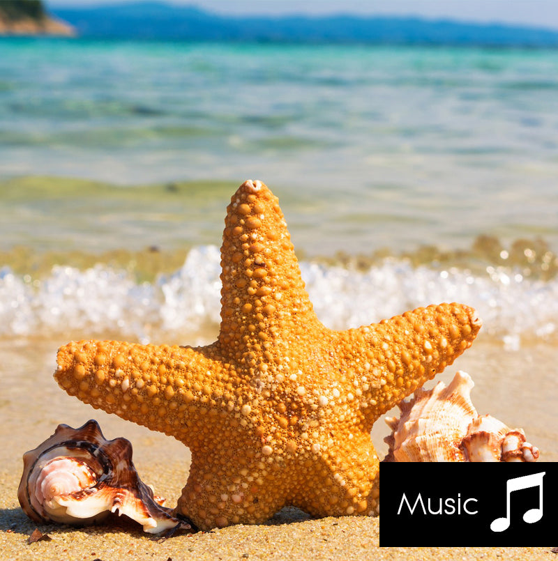 Ocean Surf - Nature Sounds with music